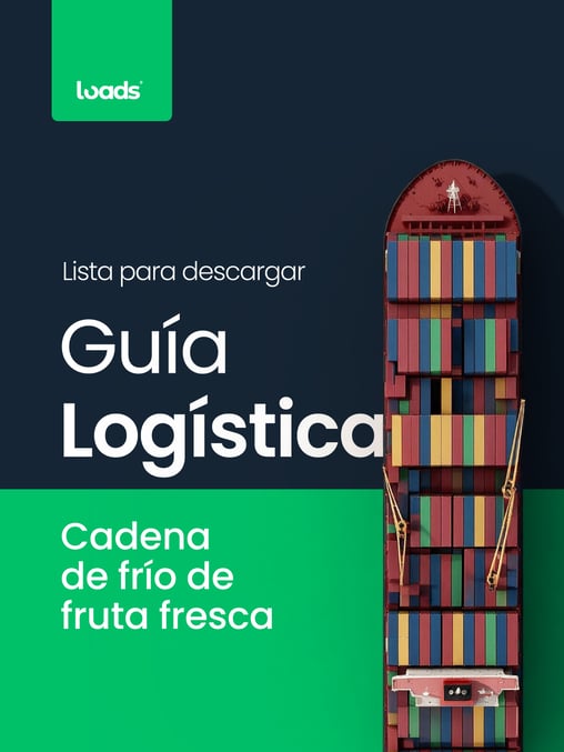Ebook Logistica