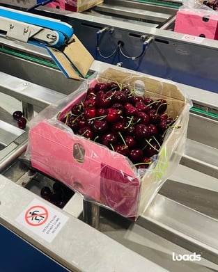 002-Dec-04-2025-08-14-28-9290-PM