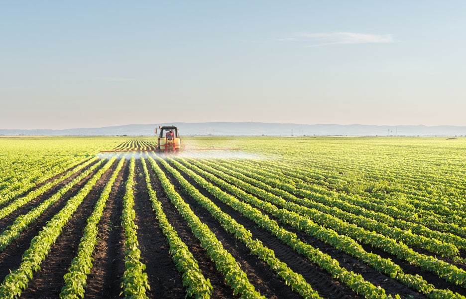 relevancia de latino america en la seguridad alimentaria