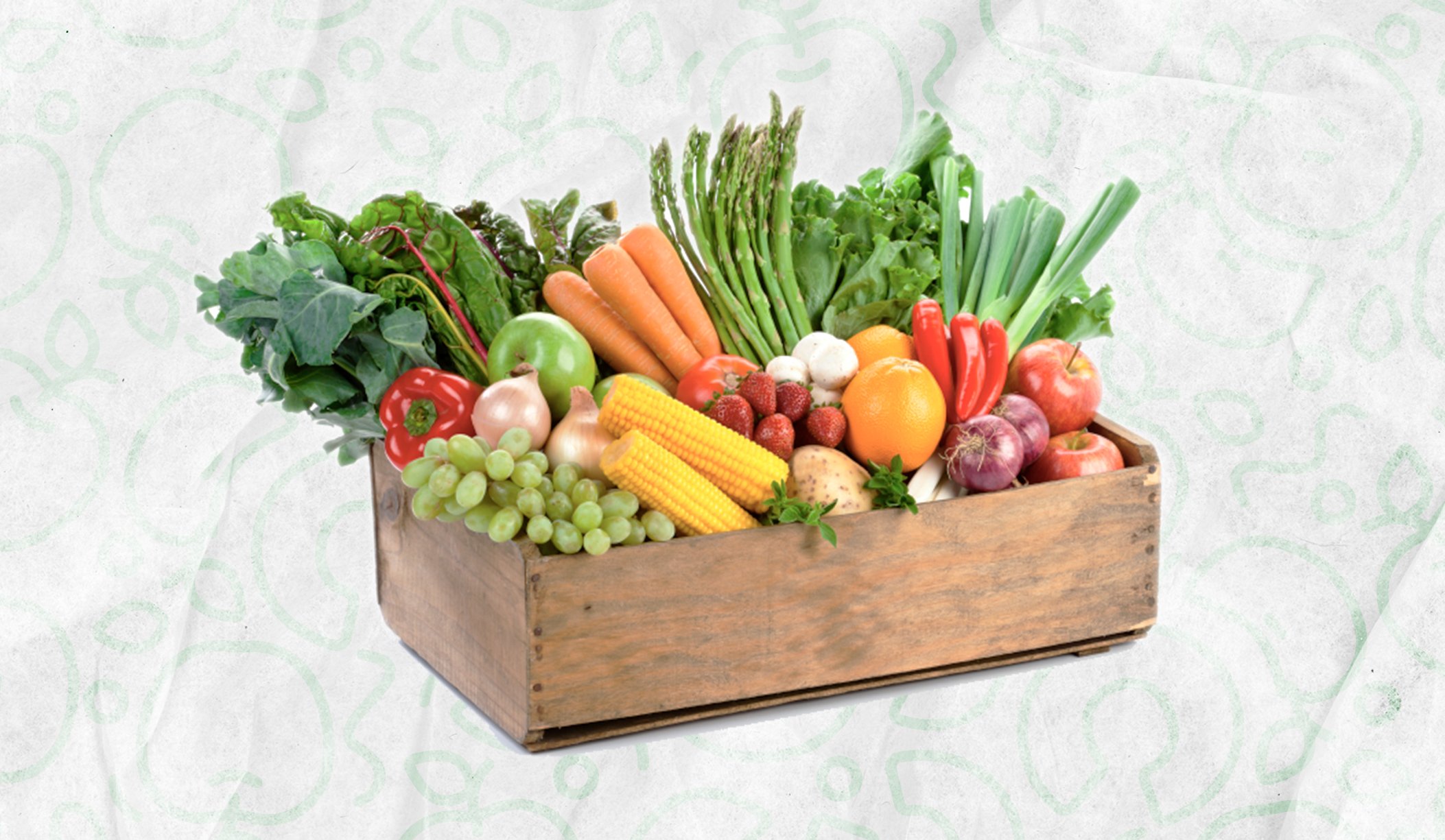 exportación de frutas y productos vegetales