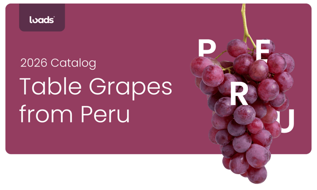 table grapes from peru catalog 2026