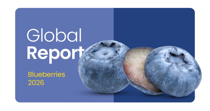 ebook blueberries loads