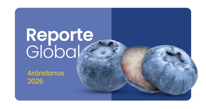 ebook arandanos loads