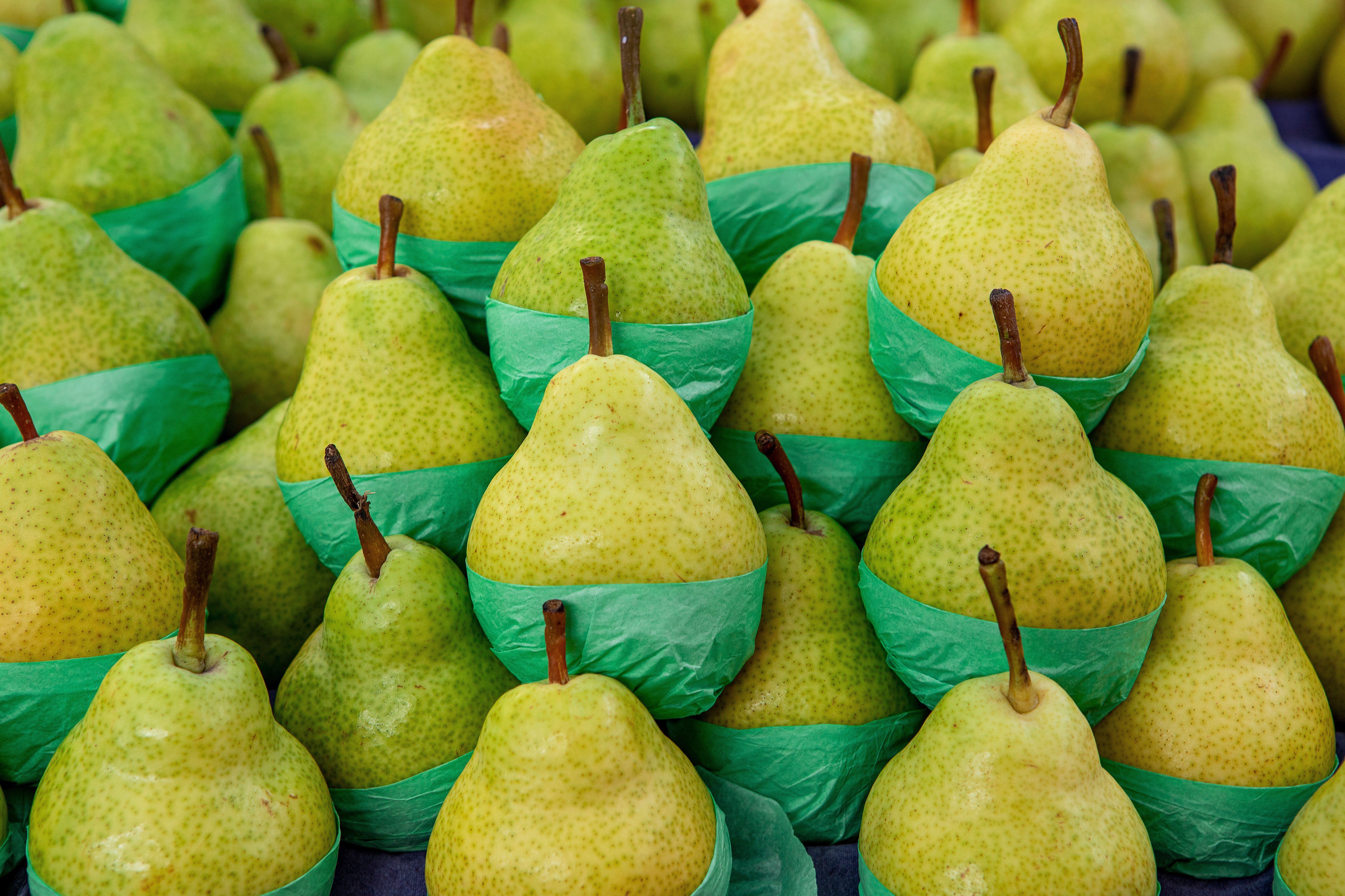 Sizes packham pears loads
