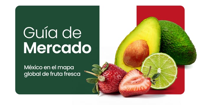 ebook-mexico-rtl-ES